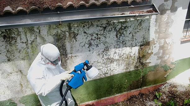 Trusted Mold Remediation service in Milltown, NJ - Cheap Mold Removal